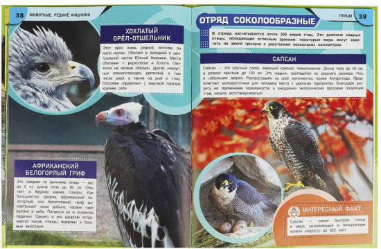 Животные. Редкие хищники