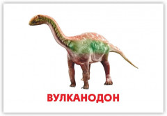 Карточки развивающие «Динозавры» - Фото 5