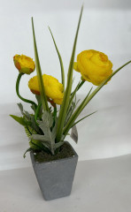 Композиция в горшочке «Пионы» - Фото 1