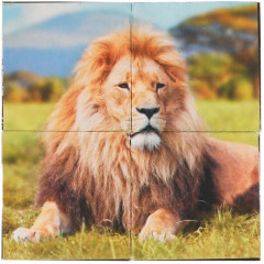 Набор кубиков «Экзотические животные» - Фото 1