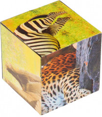 Набор кубиков «Экзотические животные» - Фото 2