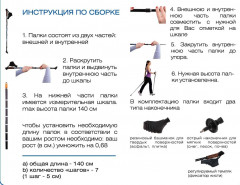 Палки для скандинавской ходьбы «Ergo Nordic» - Фото 1