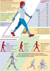 Палки для скандинавской ходьбы «Ergo Nordic» - Фото 2