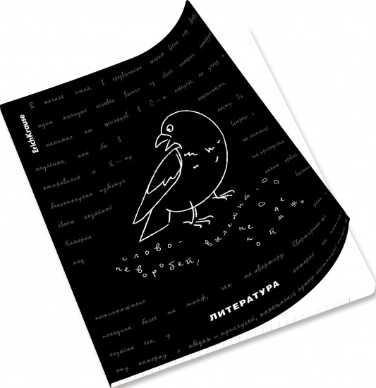 Тетрадь ученическая «Литература»
