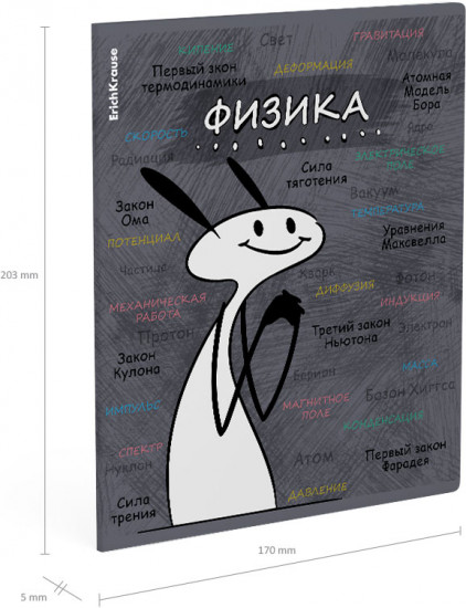 Тетрадь ученическая «Физика»