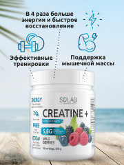 Добавка пищевая «Creatine Monohydrate» - Фото 2