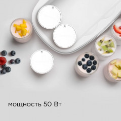 Йогуртница RYM-M5401-E - Фото 5