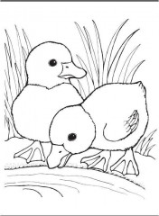 Раскраска: Большая книга раскрасок для самых маленьких - Фото 3