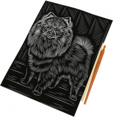 Гравюра «Шпиц» - Фото 1