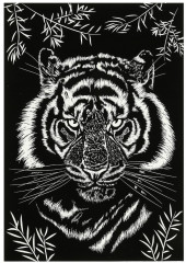 Гравюра «Тигр» - Фото 2