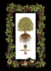 Нао Браун - Фото 2