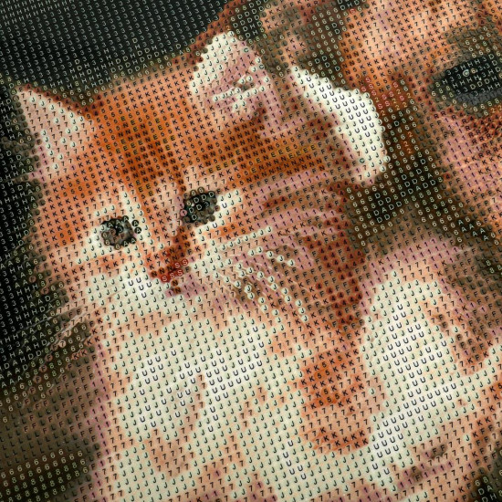 Мозаика алмазная «Щенок и котёнок»