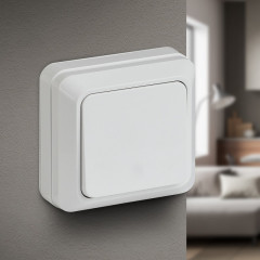 Выключатель одноклавишный - Фото 1