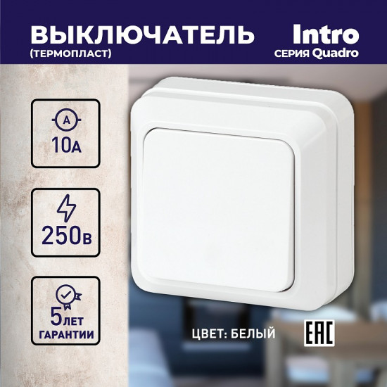 Выключатель одноклавишный