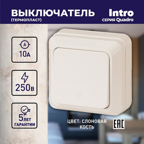 Выключатель одноклавишный