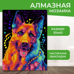 Алмазная мозаика «Яркая овчарка» - Фото 1
