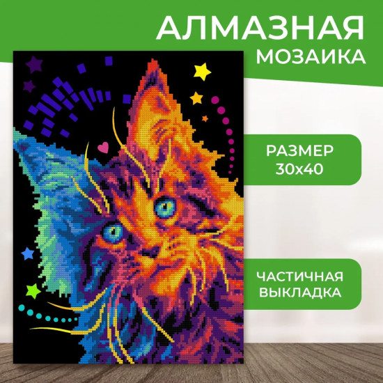 Алмазная мозаика «Разноцветный мейнкун»