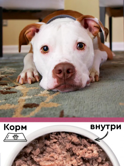 Корм консервированный для собак мелких пород с индейкой  и сердцем