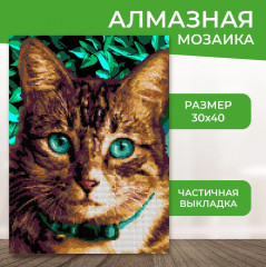 Алмазная мозаика «Изумрудные глаза» - Фото 1