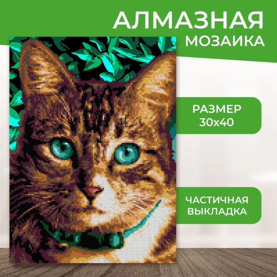 Алмазная мозаика «Изумрудные глаза»