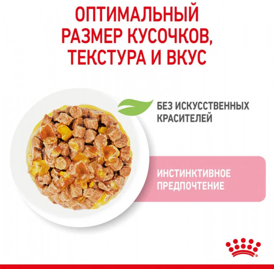 Пауч для котят