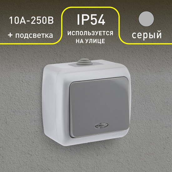 Выключатель одноклавишный с подсветкой