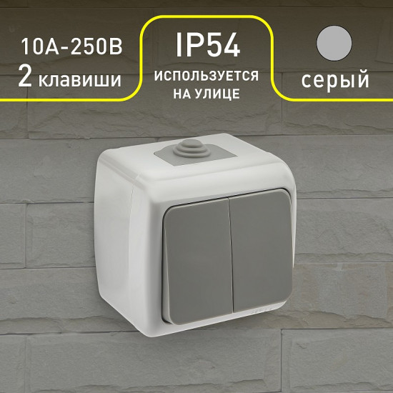 Выключатель двухклавишный