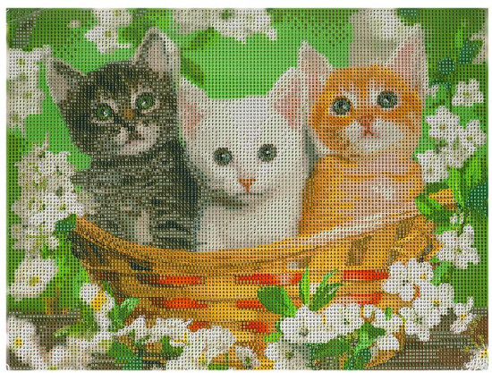 Алмазная мозаика «Котята»