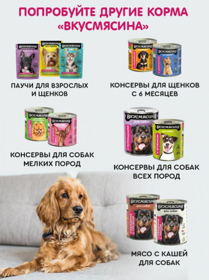 Пауч для собак «Кусочки с индейкой и языком в соусе»