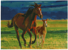 Алмазная мозаика «Лошади» - Фото 2