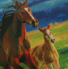 Алмазная мозаика «Лошади» - Фото 3