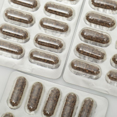 Концентрат на растительном сырье «Ежовик с гинкго билоба» - Фото 2