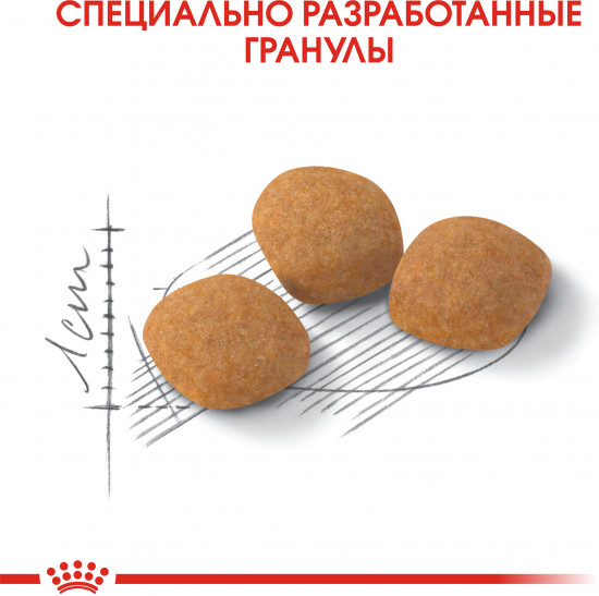 Корм для кошек кошек привередливых к составу