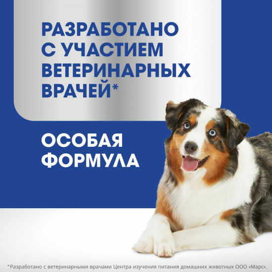 Лакомство для собак для поддержания здоровья суставов