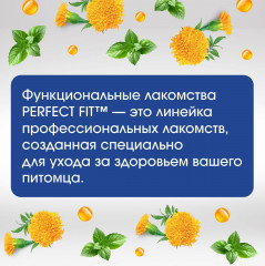 Лакомство для собак для поддержания здоровья суставов - Фото 4