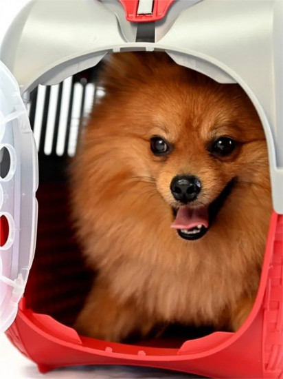 Переноска для транспортировки животных «Kennel Tour»
