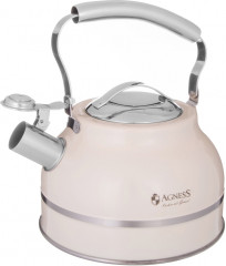 Чайник со свистком - Фото 1