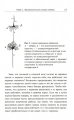 О памяти и мнемонике - Фото 7