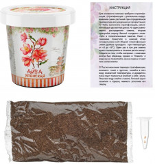 Набор для выращивания «Айва японская» - Фото 3