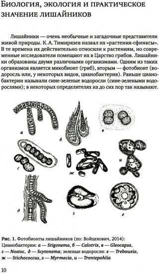 Определитель лишайников болот бореальной и тундровой зон России