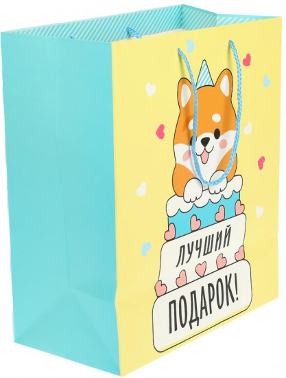 Пакет подарочный