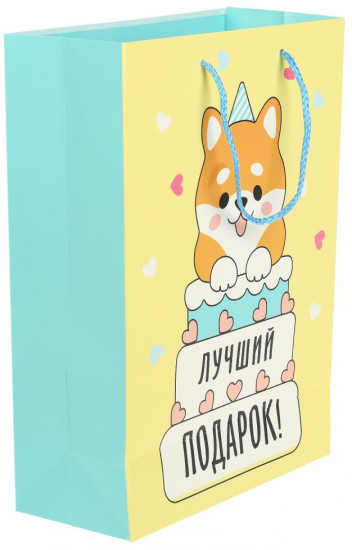 Пакет подарочный