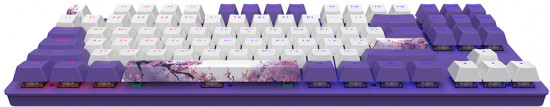 Клавиатура Dark Project DPO 87 Violet Horizons