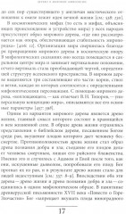 Русская елка. История, мифология, литература - Фото 5