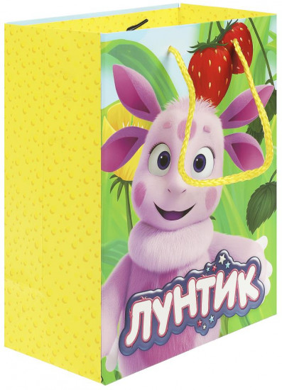 Пакет подарочный «Лунтик»