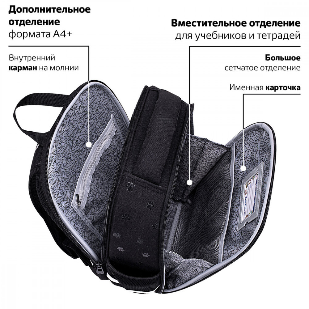 Ранец | Fit | Brauberg | Фото 13