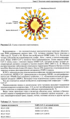 Медицинская реабилитация при COVID-19. Руководство для врачей - Фото 8