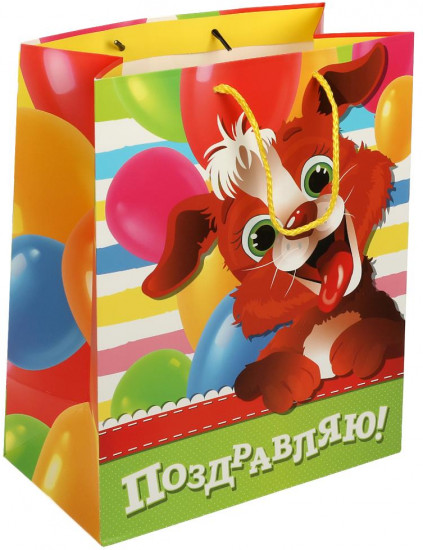 Пакет подарочный
