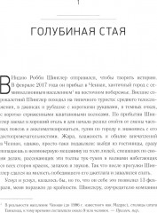 Небеса с молотка. В погоне за ближним космосом - Фото 3