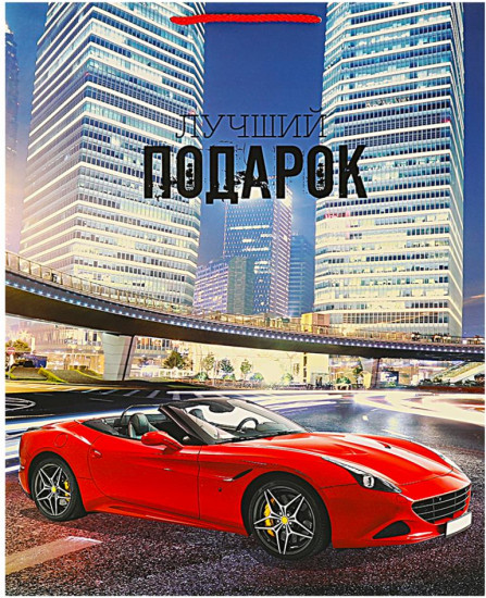 Пакет подарочный